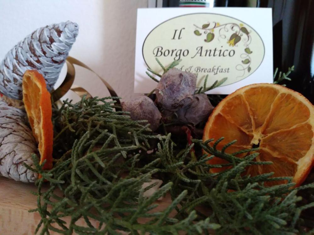 Il Borgo Antico B&B อัลตามูรา ภายนอก รูปภาพ